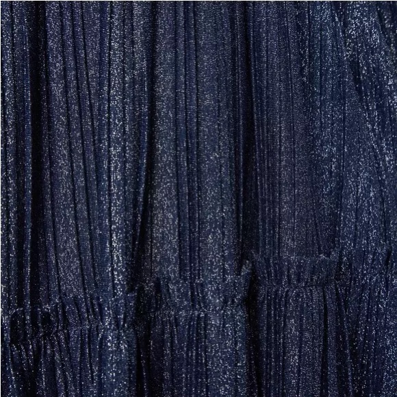 Janie and Jack navy blue pleated shimmer metallic Dress - Picture 3 of 4